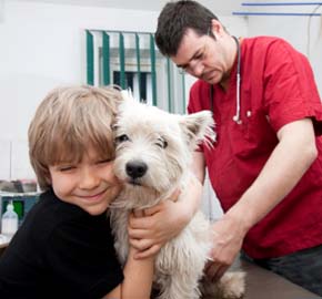 Customized Pet Vaccination Plans For Morris County NJ Pets