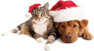 holdiday saftey for pets