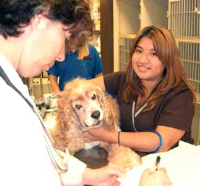 Comprehensive Skin Care at Community Animal Hospital