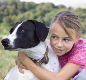 Treating Digestive Diseases & Conditions at Community Animal Hospital