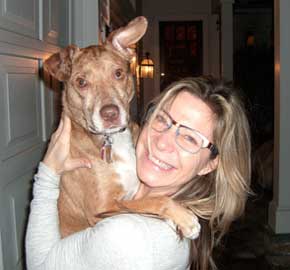 Pet Wellness Care For Morris County NJ Pets