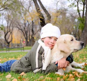 Treating Pets With Urinary & Kidney Problems at Community Animal Hospital